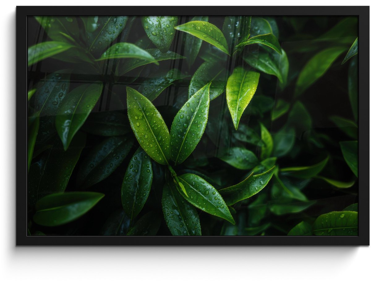 FrameYourWall Poster in lijst - Fotolijst 60x40 cm - Posters - Bladeren - Regendruppels - Licht - Groen - Posterlijst zwart - Decoratie - Wanddecoratie woonkamer - Muurdecoratie slaapkamer