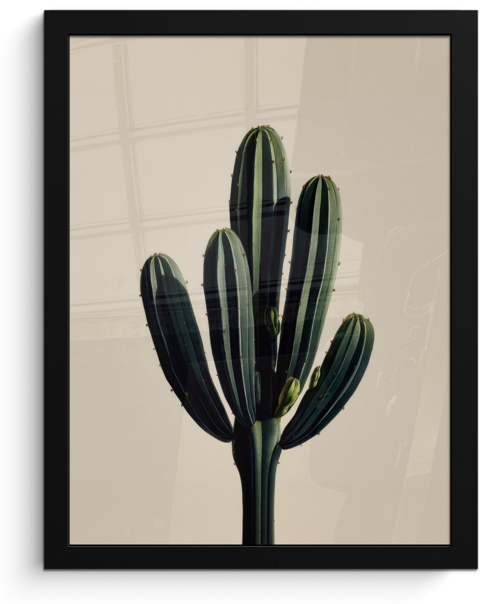 FrameYourWall Poster in lijst - Fotolijst 30x40 cm - Posters - Cactus - Subtiel - Groen - Posterlijst zwart - Decoratie - Wanddecoratie woonkamer - Muurdecoratie slaapkamer