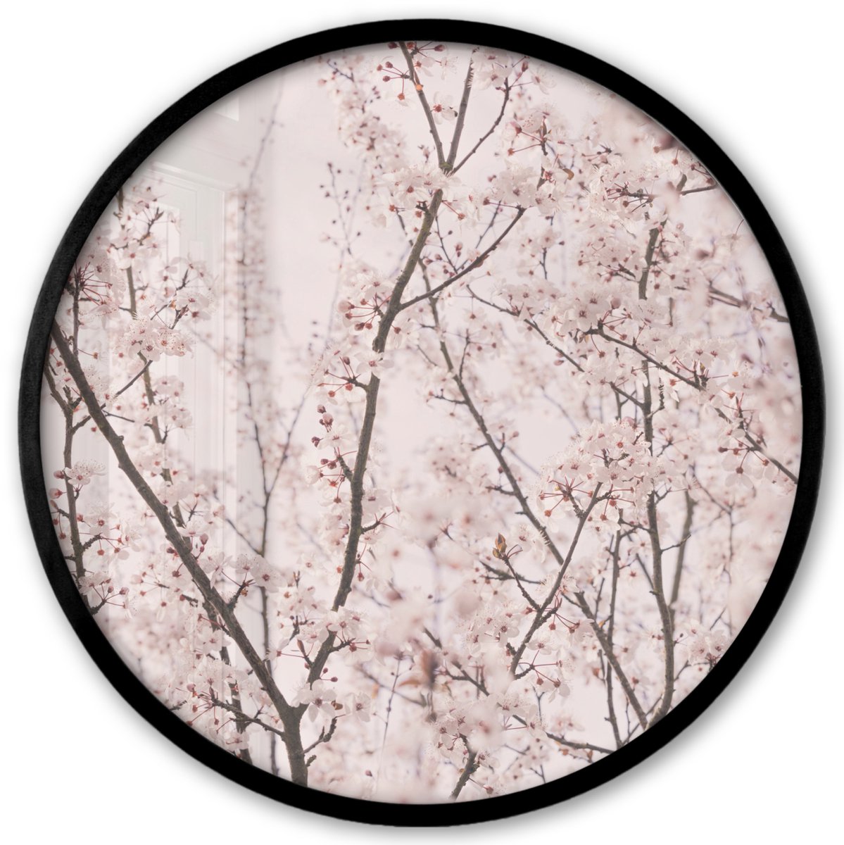 FrameYourWall Poster in lijst Rond - Fotolijst 40x40 cm - Posters - Bloesem - Bomen - Takken - Natuur - Roze - Ronde posterlijst zwart - Decoratie - Wanddecoratie woonkamer - Muurdecoratie slaapkamer Multicolor