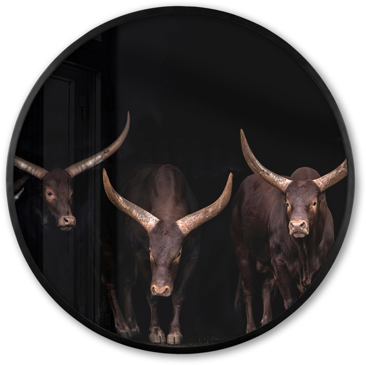 FrameYourWall Poster in lijst Rond - Fotolijst 80x80 cm - Posters - Stieren - Dieren - Bruin - Donker - Ronde posterlijst zwart - Decoratie - Wanddecoratie woonkamer - Muurdecoratie slaapkamer Multicolor