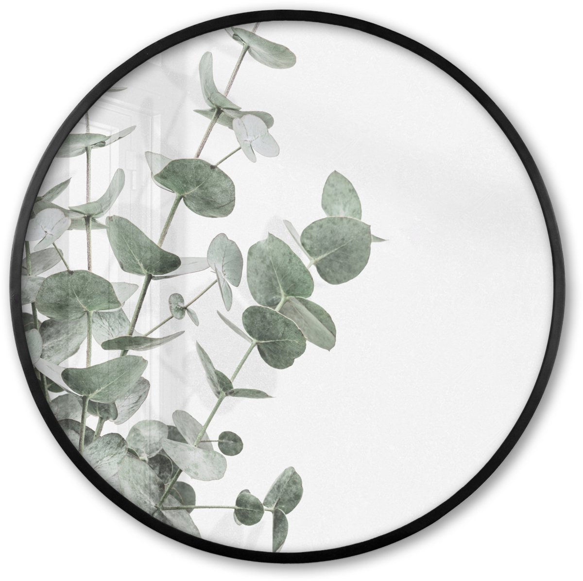 FrameYourWall Poster in lijst Rond - Fotolijst 80x80 cm - Posters - Eucalyptus - Bladeren - Natuur - Groen - Ronde posterlijst zwart - Decoratie - Wanddecoratie woonkamer - Muurdecoratie slaapkamer Groen - Planten