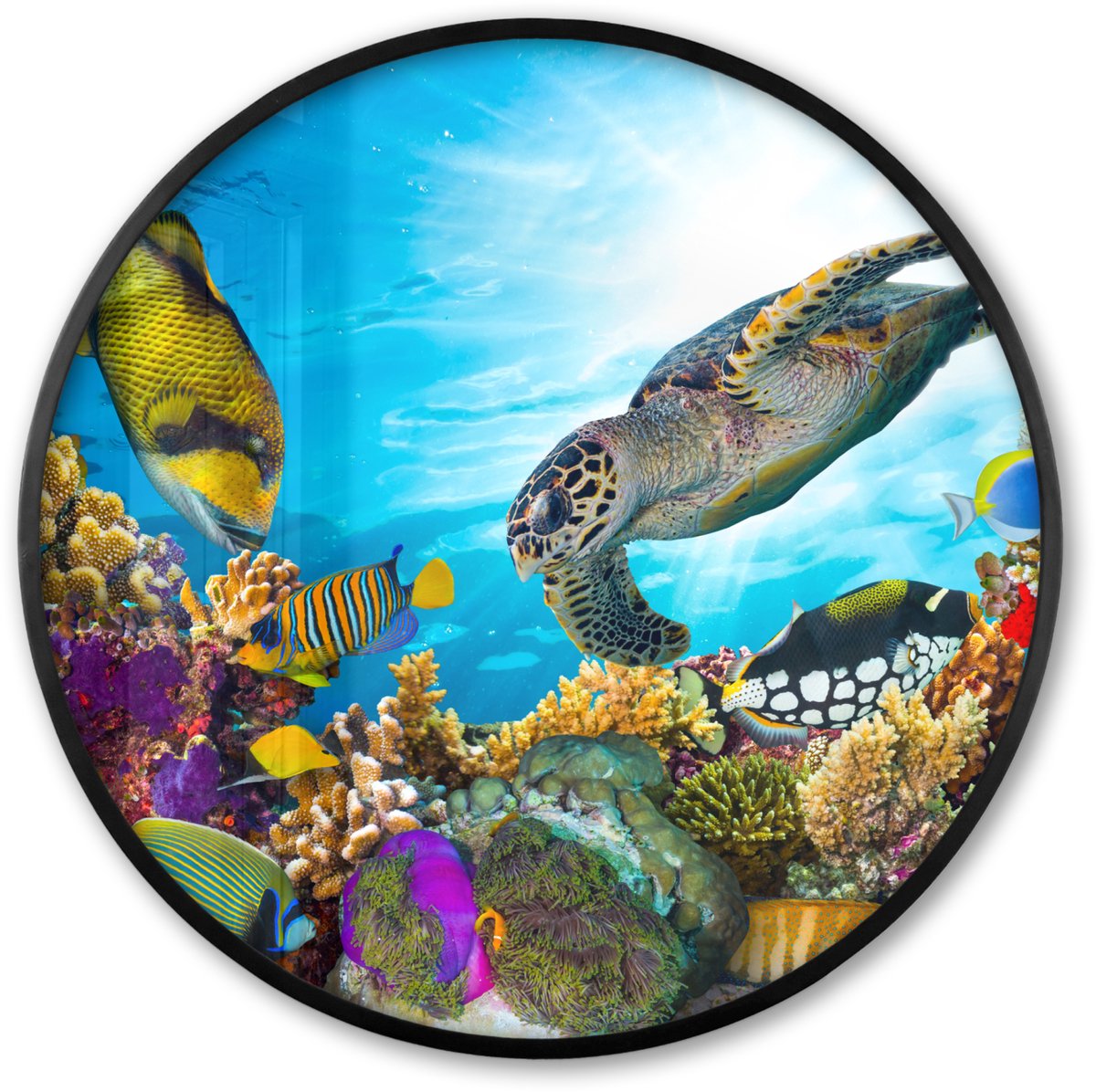 FrameYourWall Poster in lijst Rond - Fotolijst 60x60 cm - Posters - Schildpad - Zee - Koraal - Ronde posterlijst zwart - Decoratie - Wanddecoratie woonkamer - Muurdecoratie slaapkamer Multicolor
