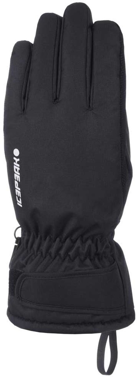 ICEPEAK HAYDEN Senior Unisex Handschoenen Zwart