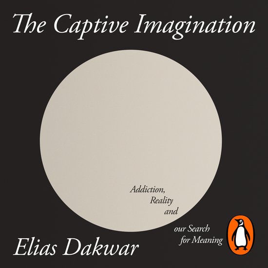 The Captive Imagination - cover