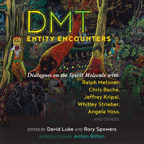 DMT Entity Encounters - cover