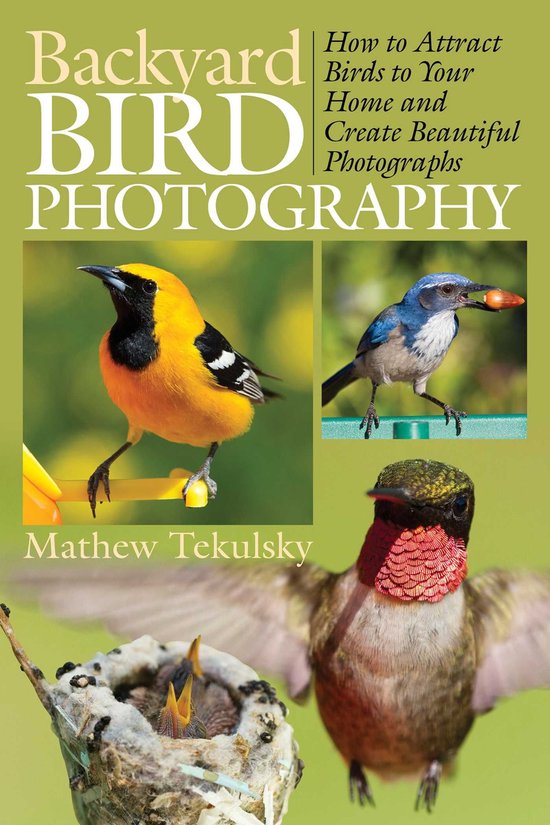 Backyard Bird Photography - cover