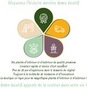 Bloemdiagram met pictogrammen voor premium planten, snelle levering, 20 jaar ervaring, trends en innovatie. Green boutiQ brengt kleur in uw leven!