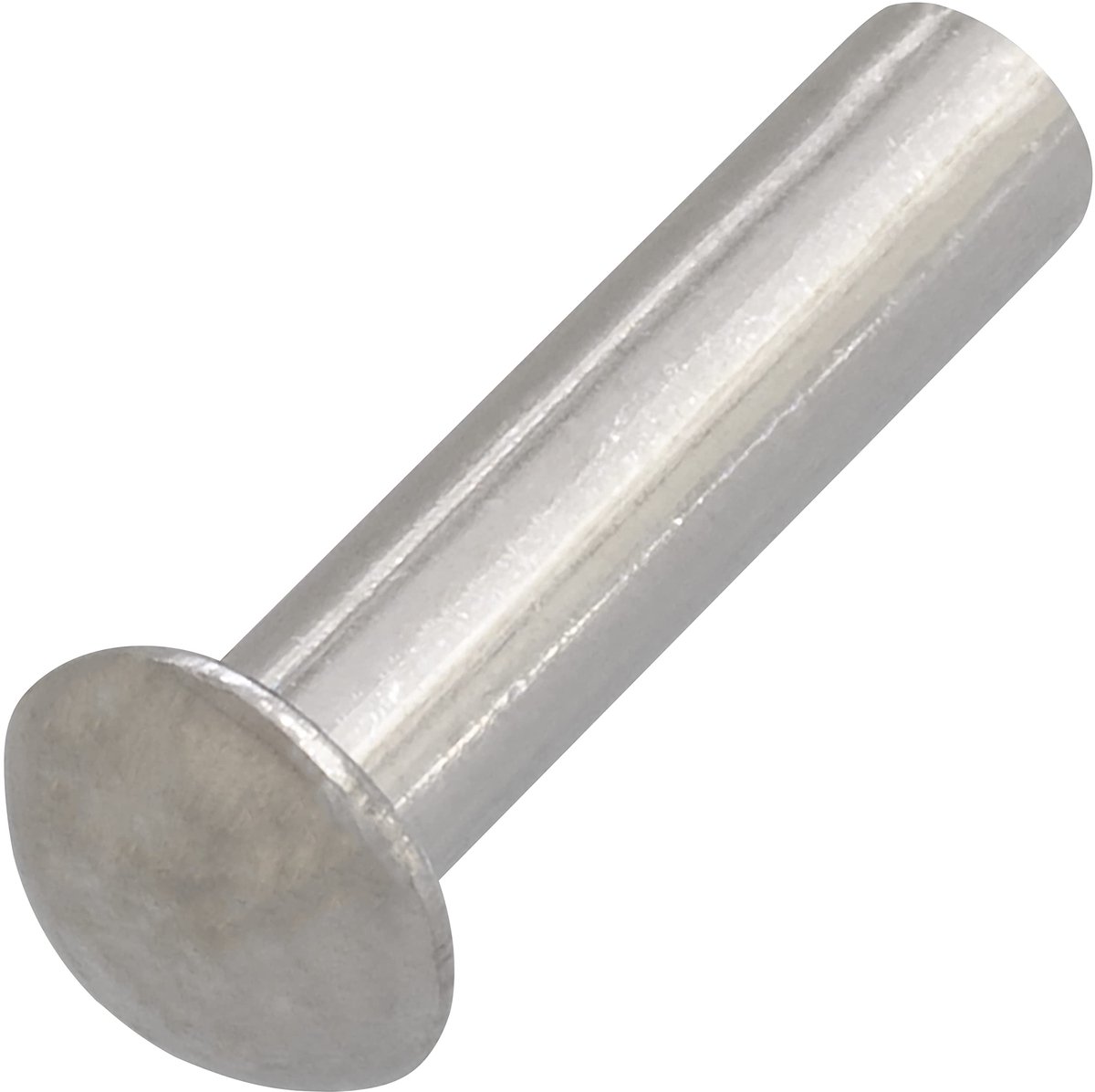 C62039 - Set van 10 aluminium rivetten Ã˜5x20 mm - halve bolvormige kop - DIN 660 - zilver