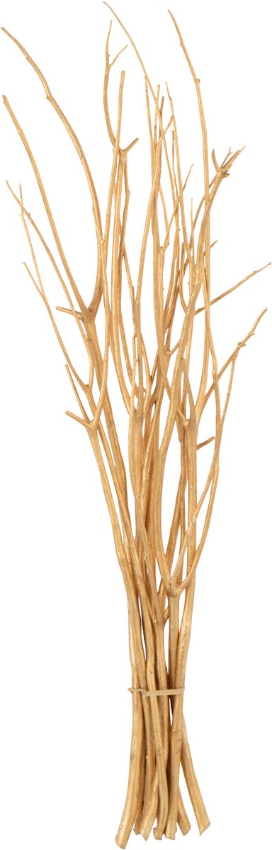 J-Line decoratie tak droogbloemen - riet - goud - small - 3 stuks