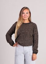 1026649_5