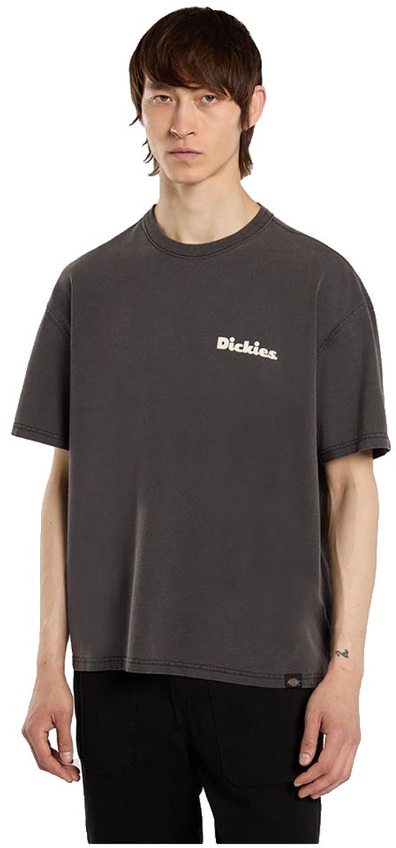 Dickies Slayden Gd T-shirt Met Korte Mouwen L Man Zwart