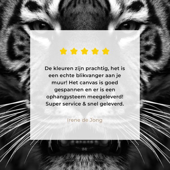 Toile - Animaux - Tigre - Nature - Zwart - Wit - Photo sur toile - 20x20 cm - Toile entoilée - Décoration de la maison