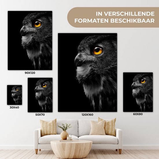 Peinture sur toile - Hibou - Vogel - Zwart - Peintures sur toile - Toile animaux - Toile canvas - 60x80 cm - Décoration murale - Salon