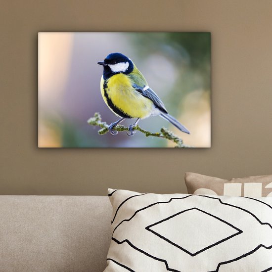 Toile - Peinture - Mésange charbonnière - Vogel - Branche - Mousse - Impression sur toile - Chambre à coucher - 30x20 cm - Intérieur - Décoration murale