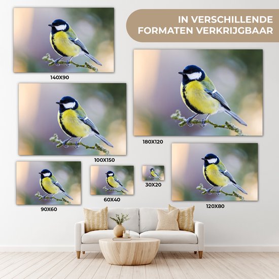 Toile - Peinture - Mésange charbonnière - Vogel - Branche - Mousse - Impression sur toile - Chambre à coucher - 30x20 cm - Intérieur - Décoration murale