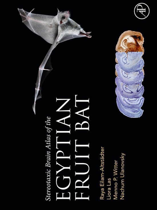 Stereotaxic Brain Atlas of the Egyptian Fruit Bat - cover