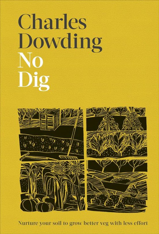 No Dig - cover