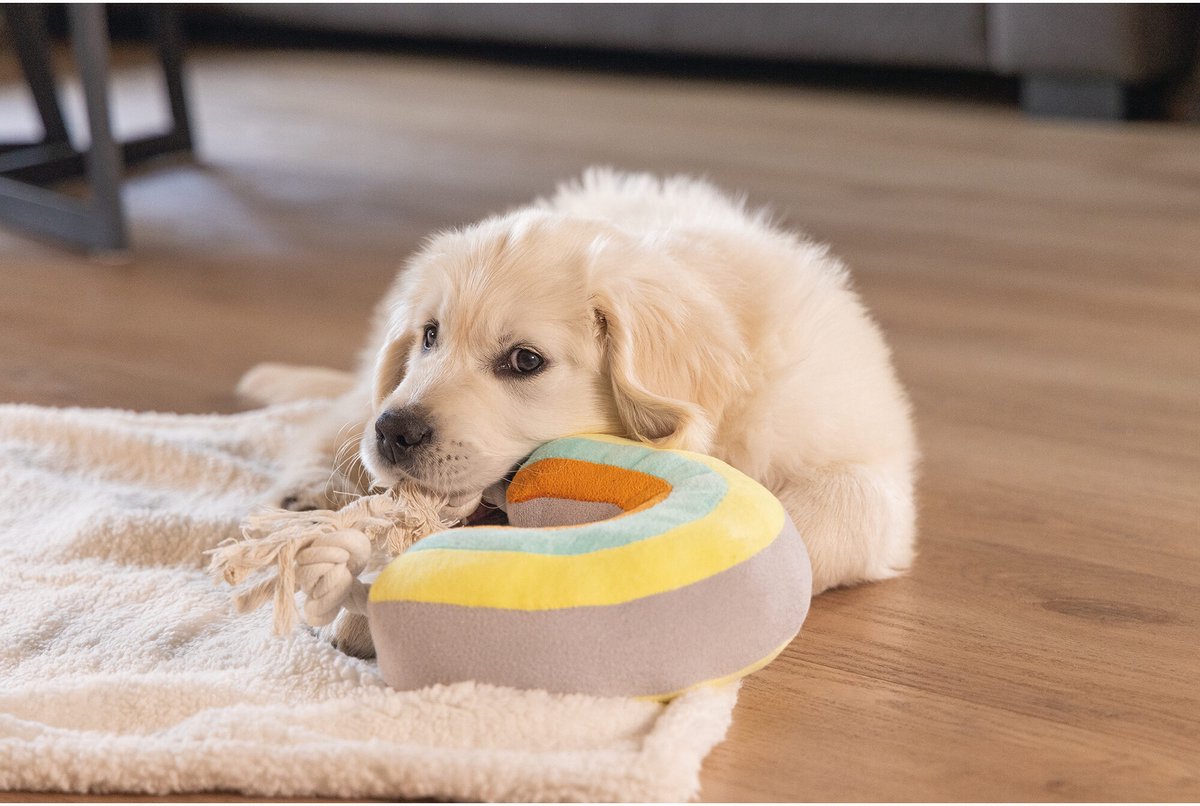 Beeztees Puppy Knuffel Regenboog Joie