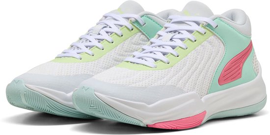 Nike Basketbal Lebron Witness V