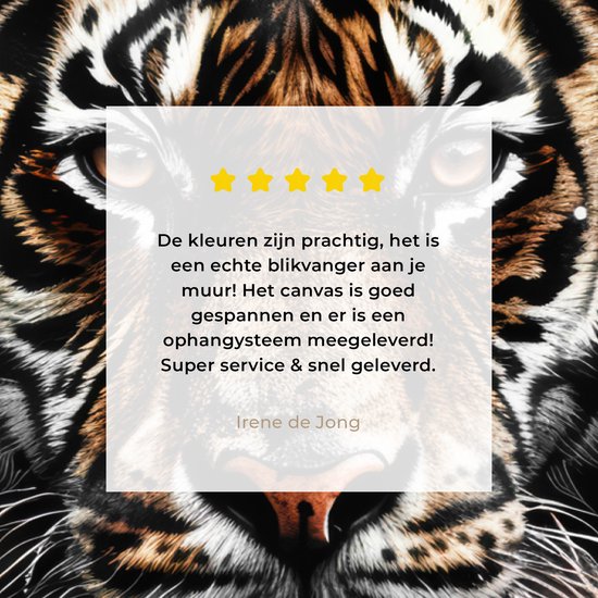 Gros plan d'un tigre avec des étoiles jaunes et un avis.