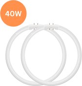 2x TL5 Ronde TL-buis 40W – 830 Warm Wit – 2GX13 (4-pins) Ø 30cm