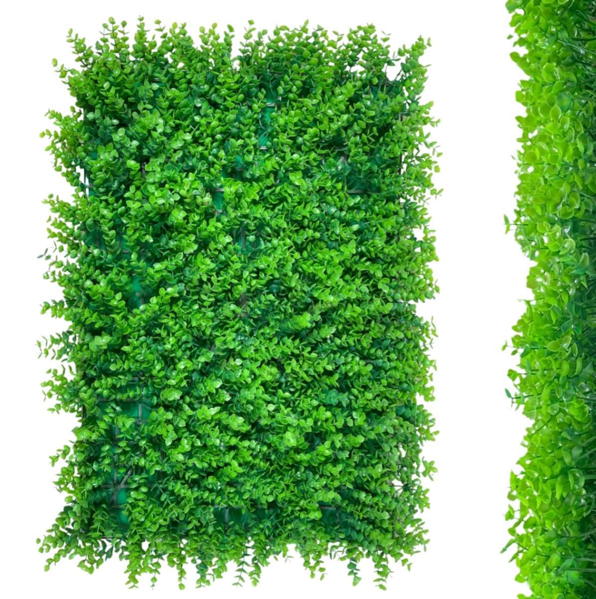 Groen Wandpaneel Eucalyptus Verticaal Tuinbevestiging 60x40cm