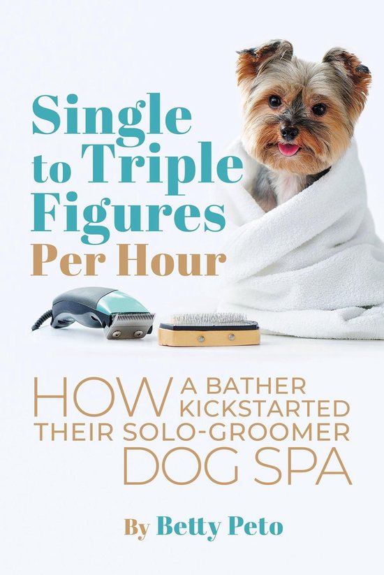 Single to Triple Figures Per Hour - cover