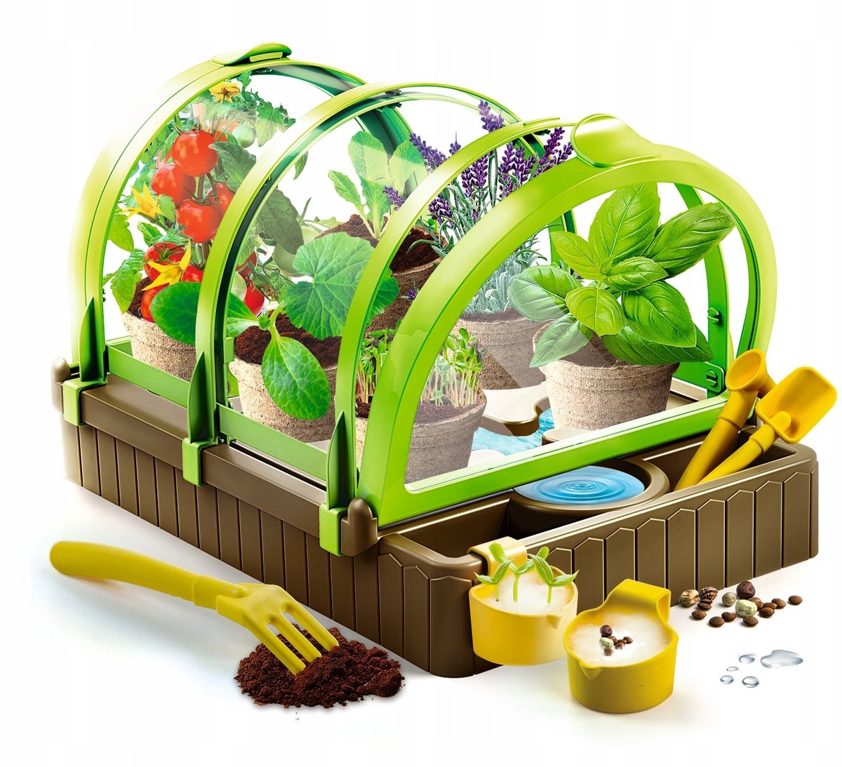 Clementoni T-Rex Schedel - Archeologie Kit voor Kinderen