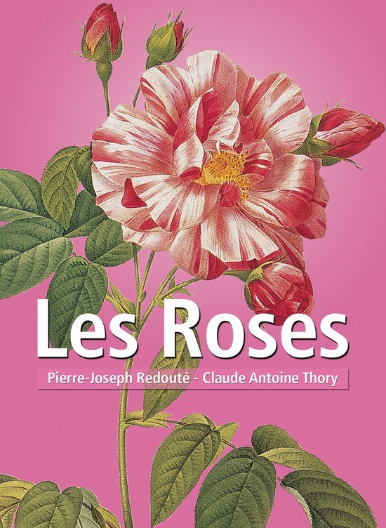 Les Roses - cover
