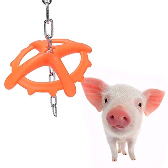 Wear-resistant bite toy, durable with long metal chain Farm Food Toy, for piglets — afbeelding 2