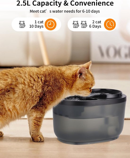 Op zoek naar de beste drinkfontein voor je kat? 7 tips en onze top 7
