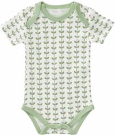 Fresk romper korte mouw Leaves mint