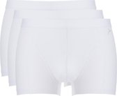 Ten Cate Shorty 3Pack Basic Wit - Maat XL