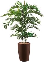 HTT - Kunstplant Areca palm in Genesis rond bruin H150 cm