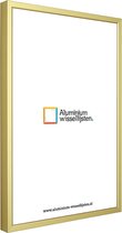 Aluminium Wissellijst 18 x 24 Mat Champagne Goud - Ontspiegeld Glas - Professional