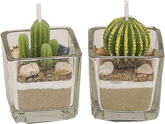 2x Cactus kaarsjes in glas 5 cm - Cactusplant en bolcactus kaarsen set 2 stuks