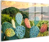 Cactus muurdecoratie - Planten glasschilderij - Schilderijen glas Landschap - Schilderijen op glas industrieel - Acrylglas schilderijen - Slaapkamer decoratie acrylglas 75x50 cm