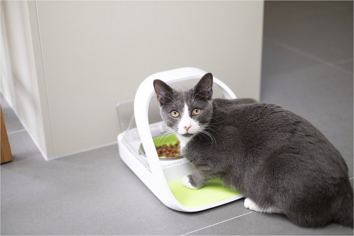 Sure Petcare SureFeed Microchip Voerautomaat met afgesloten deksel, te gebruiken met RFID-penningen, geschikt voor nat- en droogvoer, wit, 4 C- batterijen vereist (niet meegeleverd