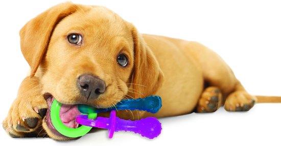 Sucette de dentition Nylabone Puppy Flexible - Jouets pour chiens - Lard 215x100x38 mm 108 g Rose Bleu Vert Jusqu'à 11kg Petit