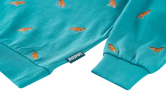 SOMEONE DINOSO-SB-16-B Pull Garçons - Taille 134