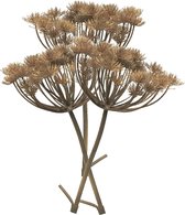 Bellatio Design Fleur Artificielle/Branche Artificielle Berce du Caucase/Heracleum - 3x - 98 cm - Tige lâche - Branches de Fleurs Artificielles en Soie