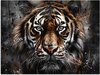 Tigre