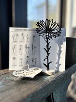 Créations de Hier - Fleur de naissance avec coeur en bois - Septembre - Aster - MDF Zwart - Bois