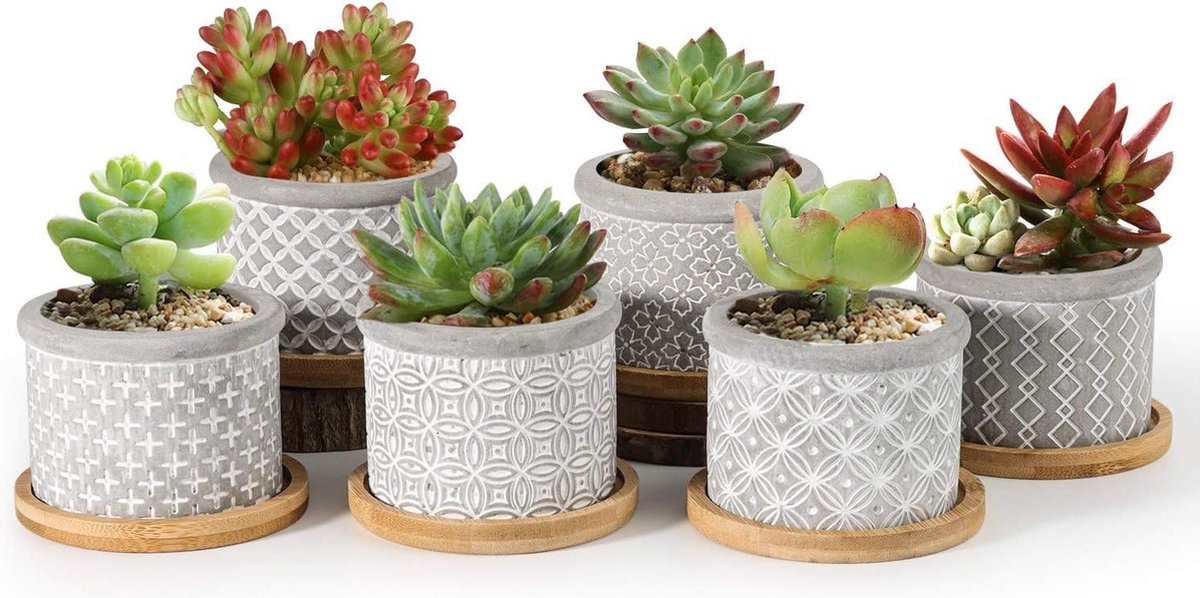 Bloempot Set van 6 Cement Succulente Plantenpot met Bamboe Onderzetter Ronde Binnen Klein Cactus Pot Grijs voor Sappige Aloë Kruid Decoratieve Geschenk 6CM