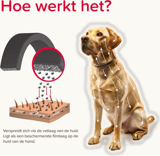 Beaphar Canishield Anti Vlooien en Tekenband Hond S - M - 48 cm
