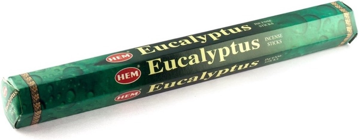 HEM Wierook stokjes - Eucalyptus - 100x stokjes - Yoga/meditatie Multi