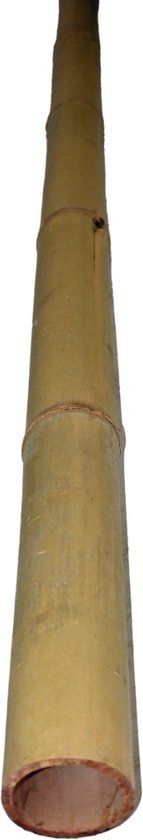 Perche en bambou Moso 5-7 400