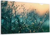 Dauwdruppels wanddecoratie - Natuur schilderij - Muurdecoratie Takken - Muurdecoratie landelijk - Schilderijen canvas - Decoratie kamer canvas 120x80 cm