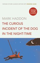 Boek kaft met een illustratie van een rode hond die onder de nachtelijke hemel zweeft met sterren, een maan en een wolk.