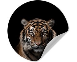 WallCircle® - Behangcirkel 50x50 cm - Muurstickers Tijger - Portret - Zwart - Dier - Muurcirkel woonkamer - Wandcirkel slaapkamer - Kamer decoratie zelfklevend - Muurdecoratie accessoires